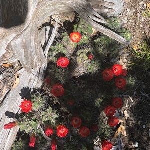 Meet your Posher, Vivian